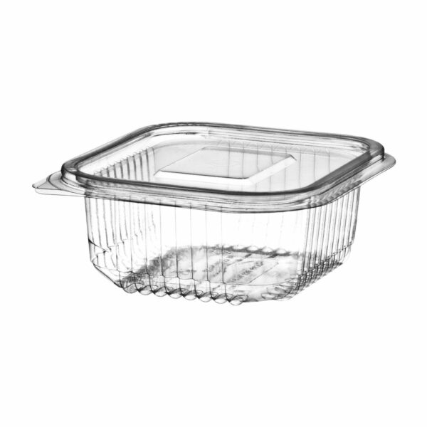 SALAD CONTAINER 250cc